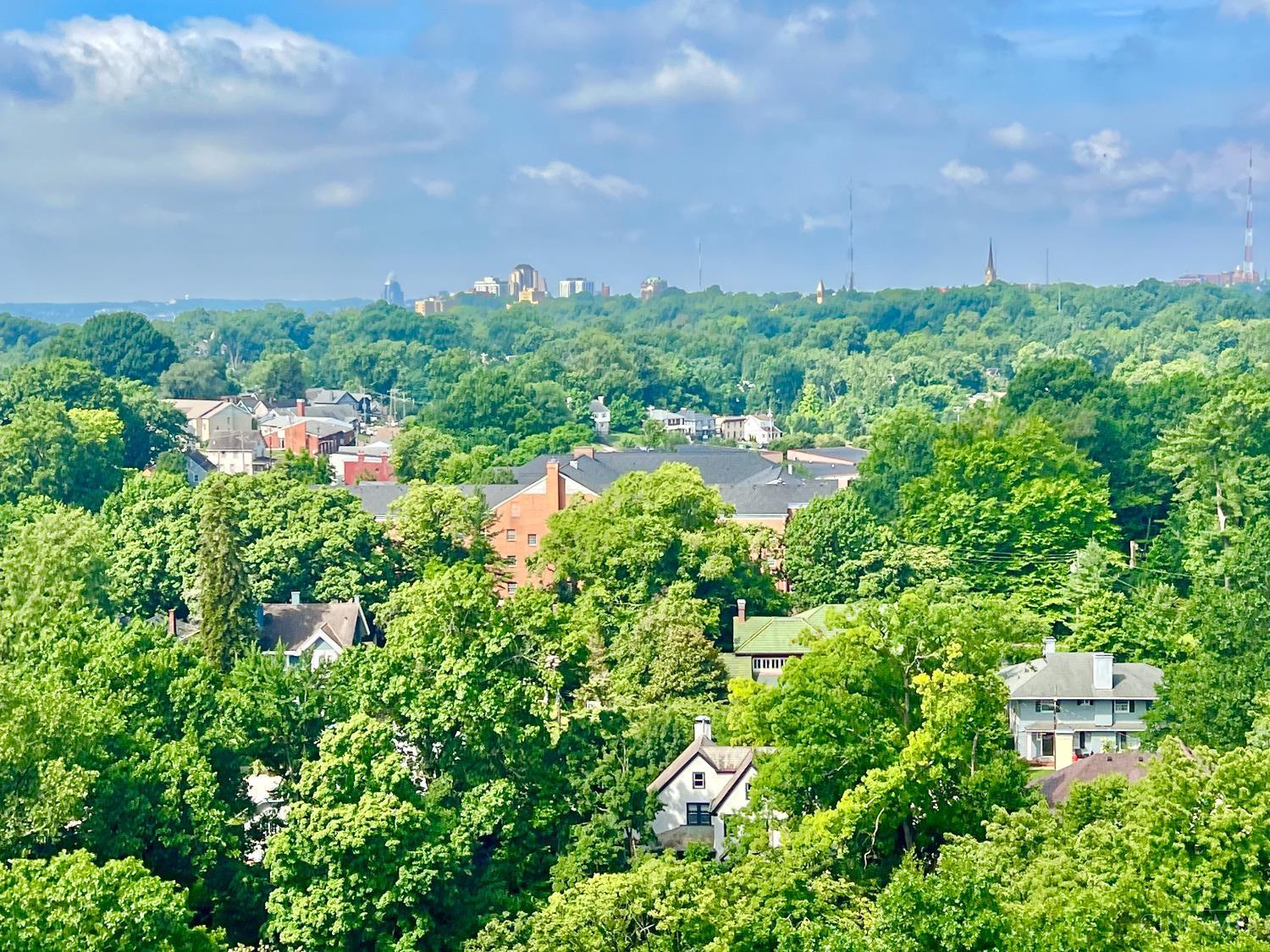 2324 Madison Road #1509 - Main