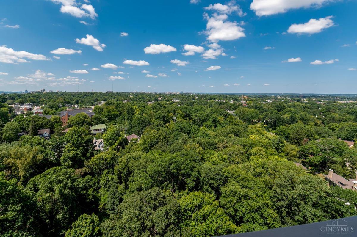 2324 Madison Road #1701 - 2