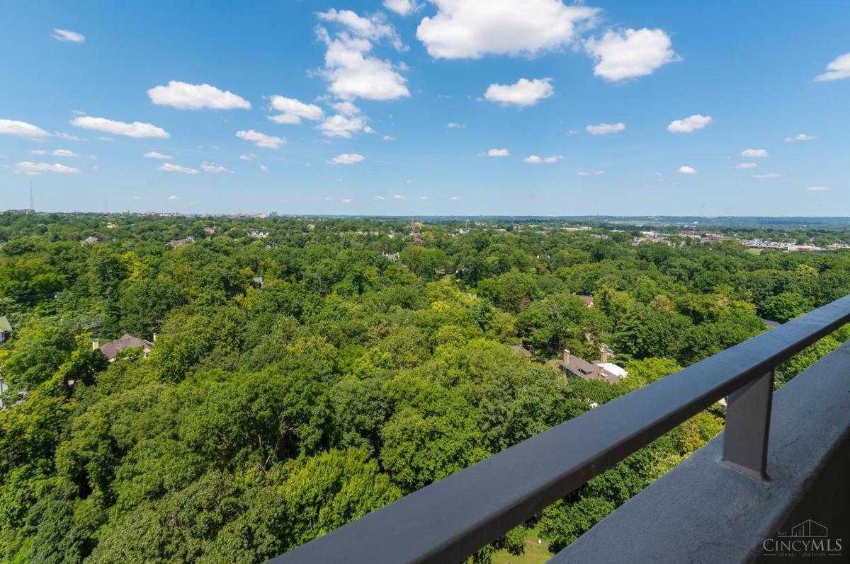 2324 Madison Road #1701 - 5