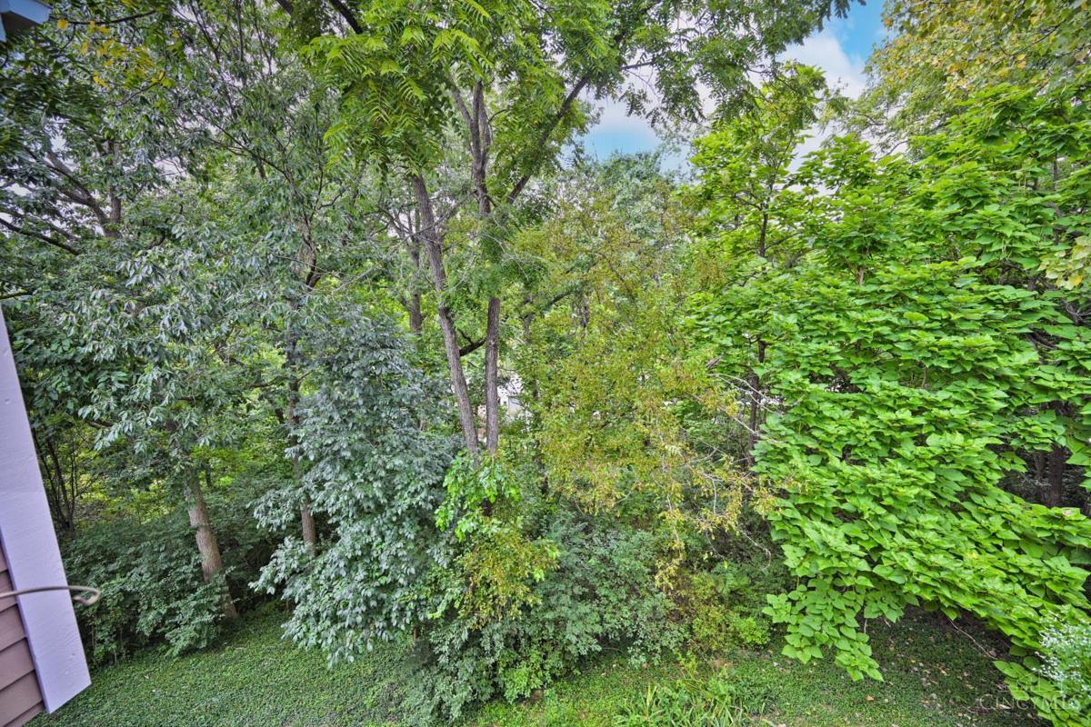 681 Totten Way #16 - 4