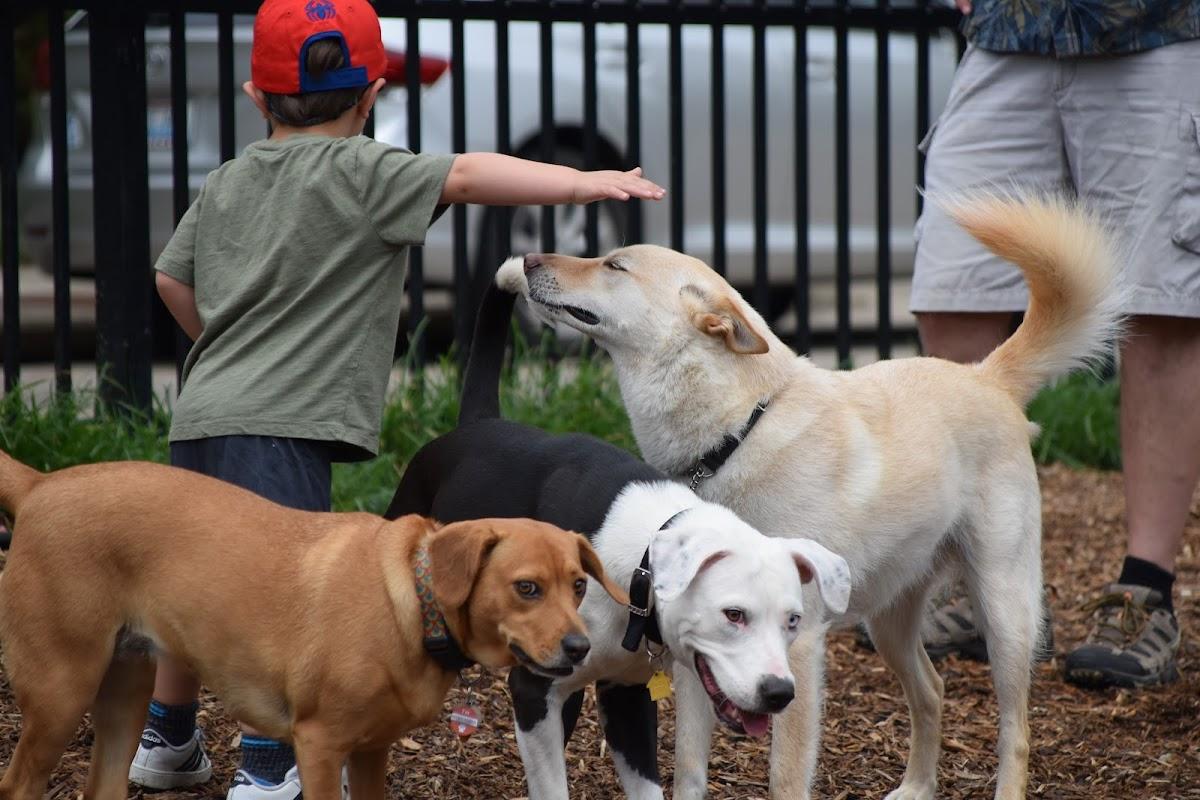 Newport Dog Park